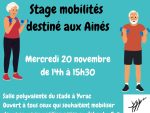 Stage mobilités destiné aux ainés